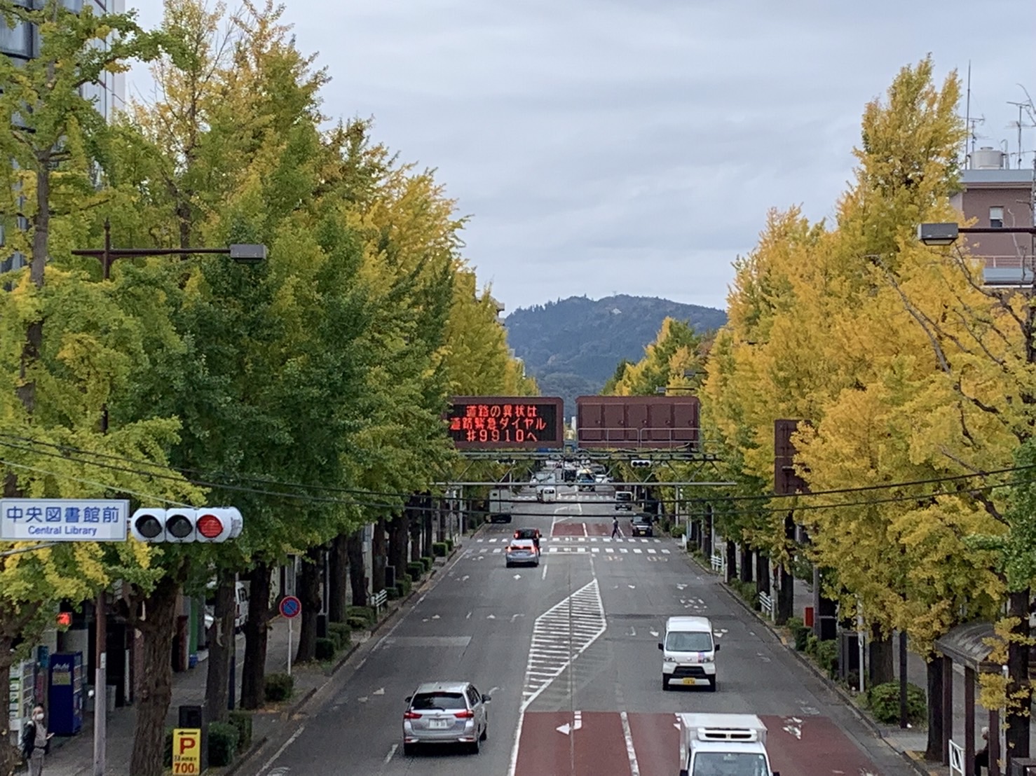 第44回八王子いちょう祭り「関所オリエンテーリング」の開催概要が決まりました。 八王子いちょう祭り(公式)